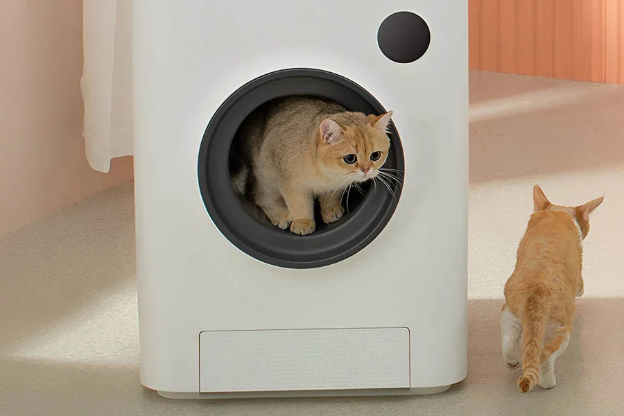 best auto cleaning litter box