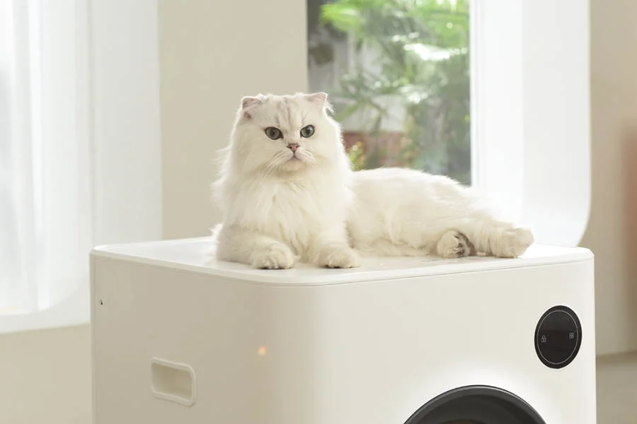 best auto cleaning litter box